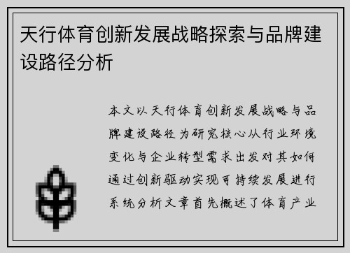天行体育创新发展战略探索与品牌建设路径分析